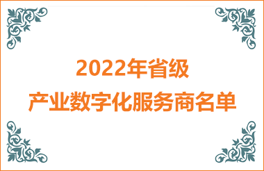 2022年省级产业数字化服务商